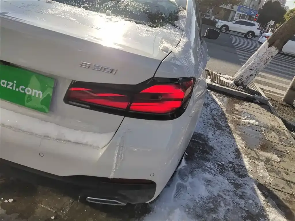BMW 5 Series (Import) 2023 из CN, фото 7