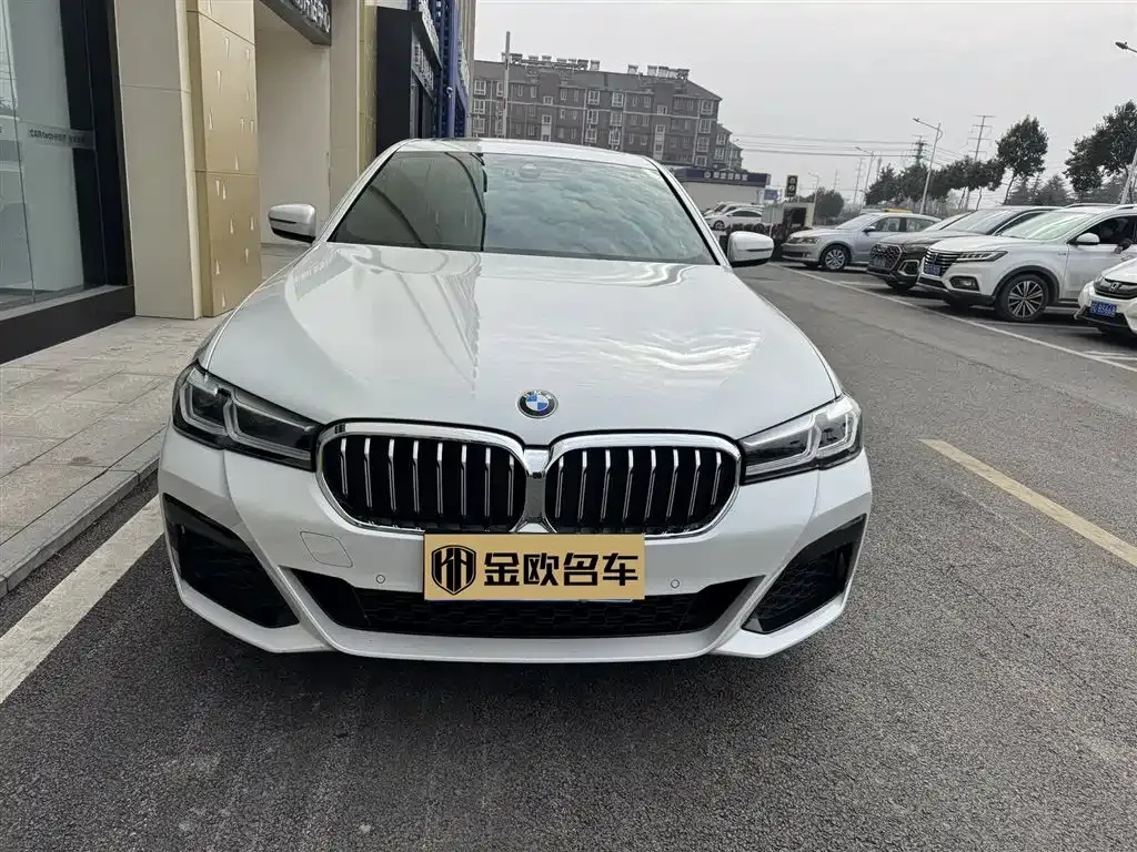 BMW 5 Series 2023 из CN, фото 6