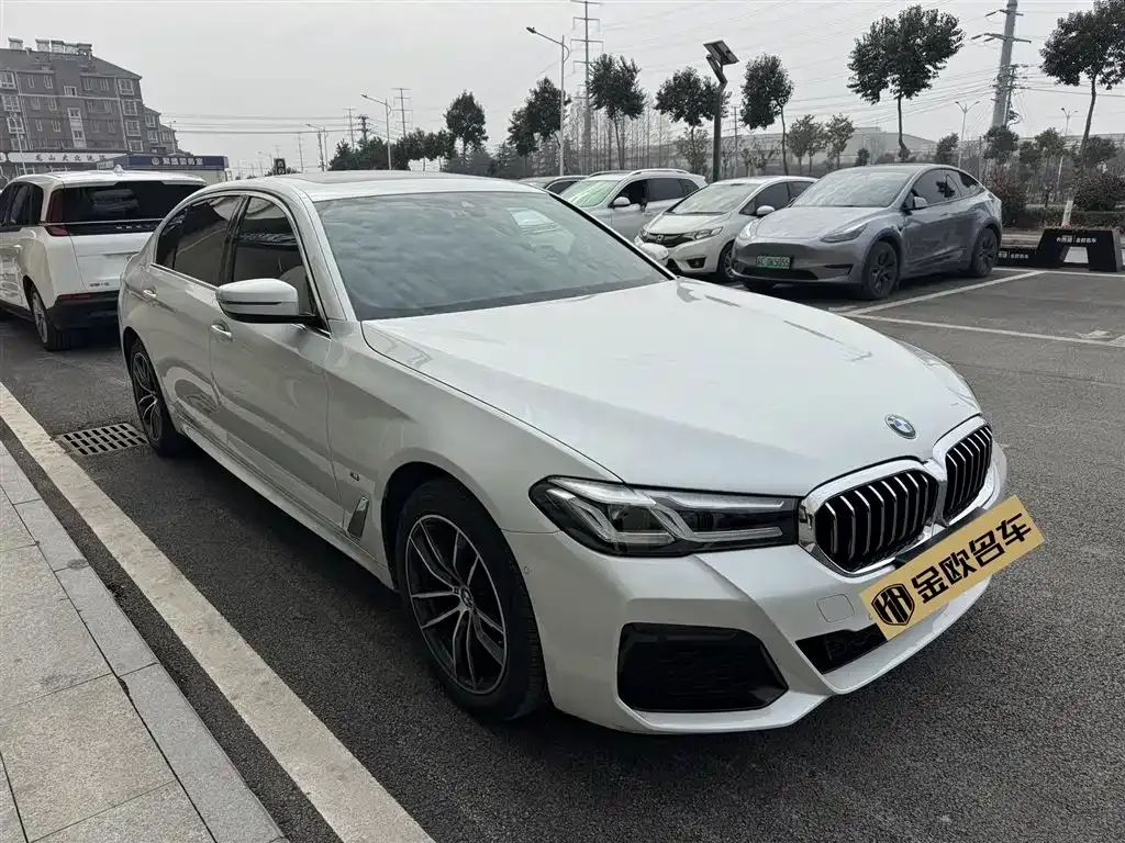 BMW 5 Series 2023 из CN, фото 7
