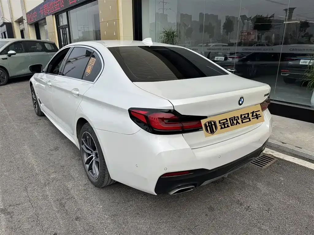 BMW 5 Series 2023 из CN, фото 8