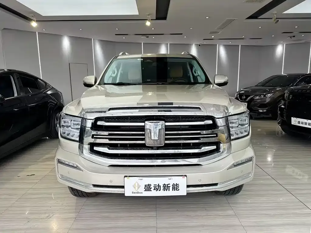 Tank 500 New Energy 2024 из CN, фото 2