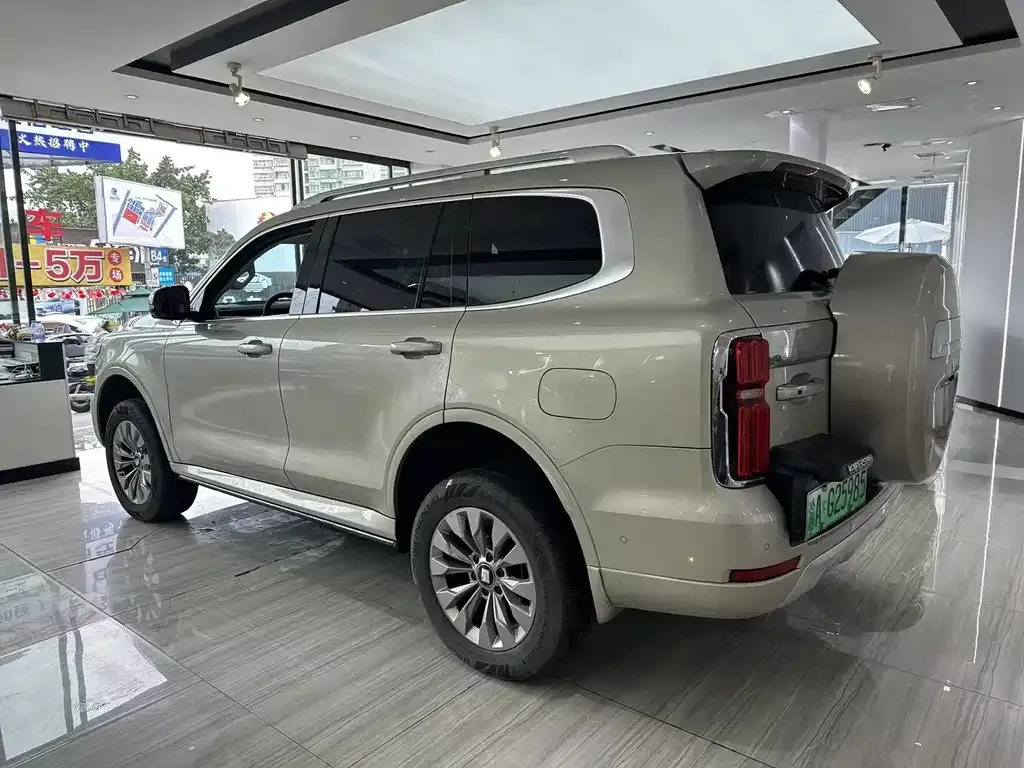 Tank 500 New Energy 2024 из CN, фото 10