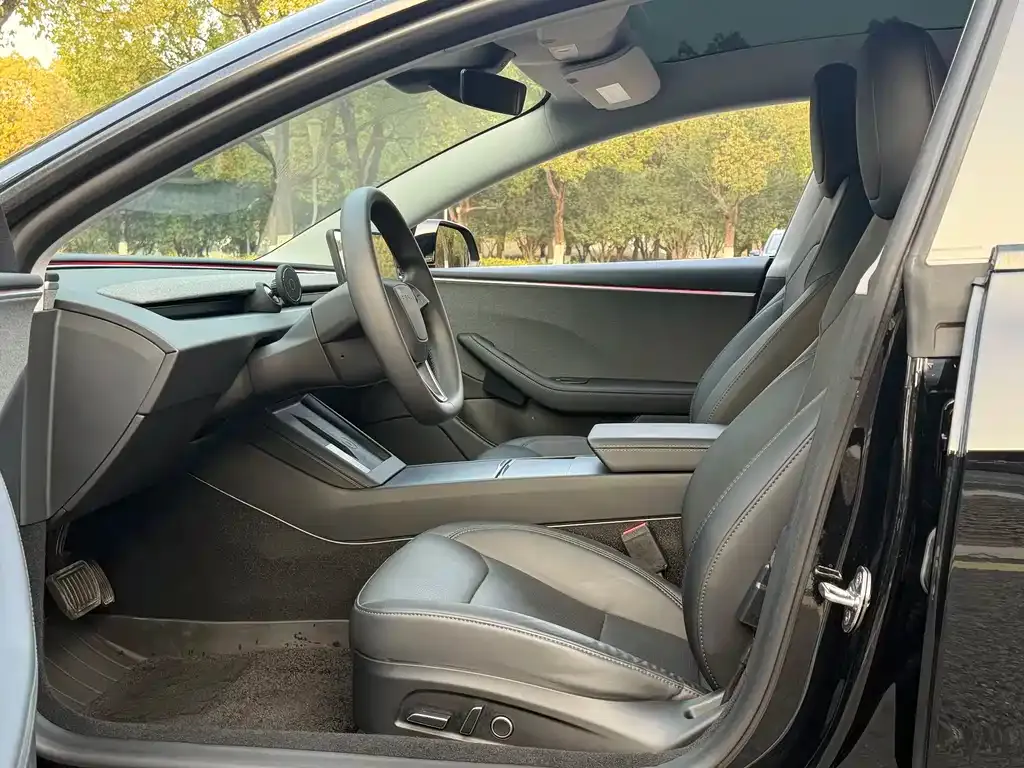 Tesla Model 3 2023 из CN, фото 2