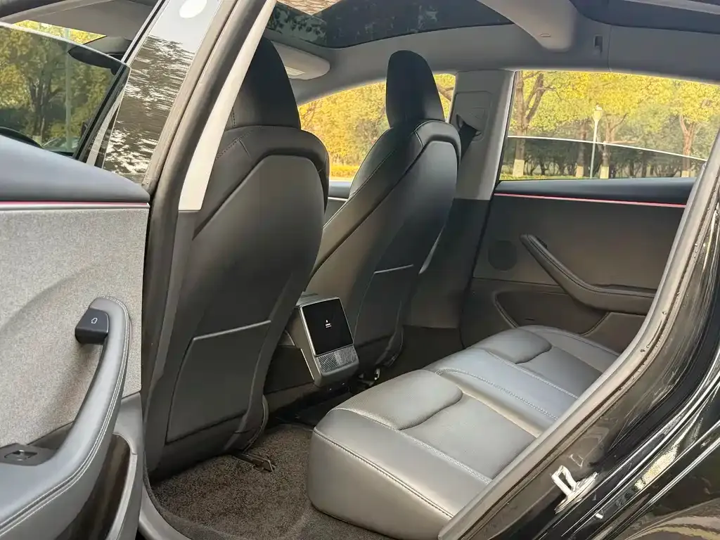 Tesla Model 3 2023 из CN, фото 6