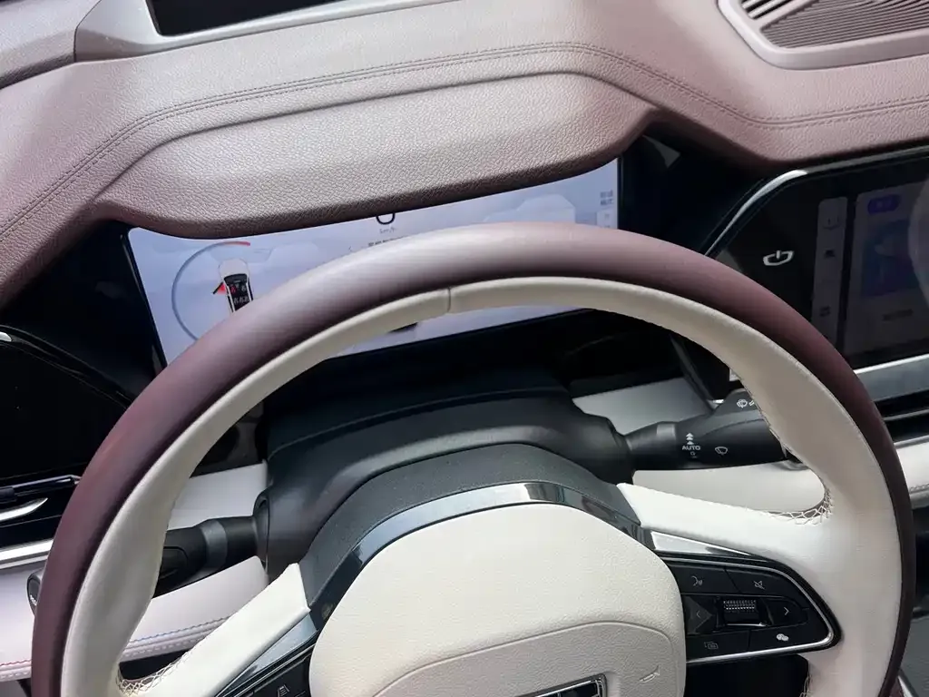 Geely Xingyue L 2021 из CN, фото 8