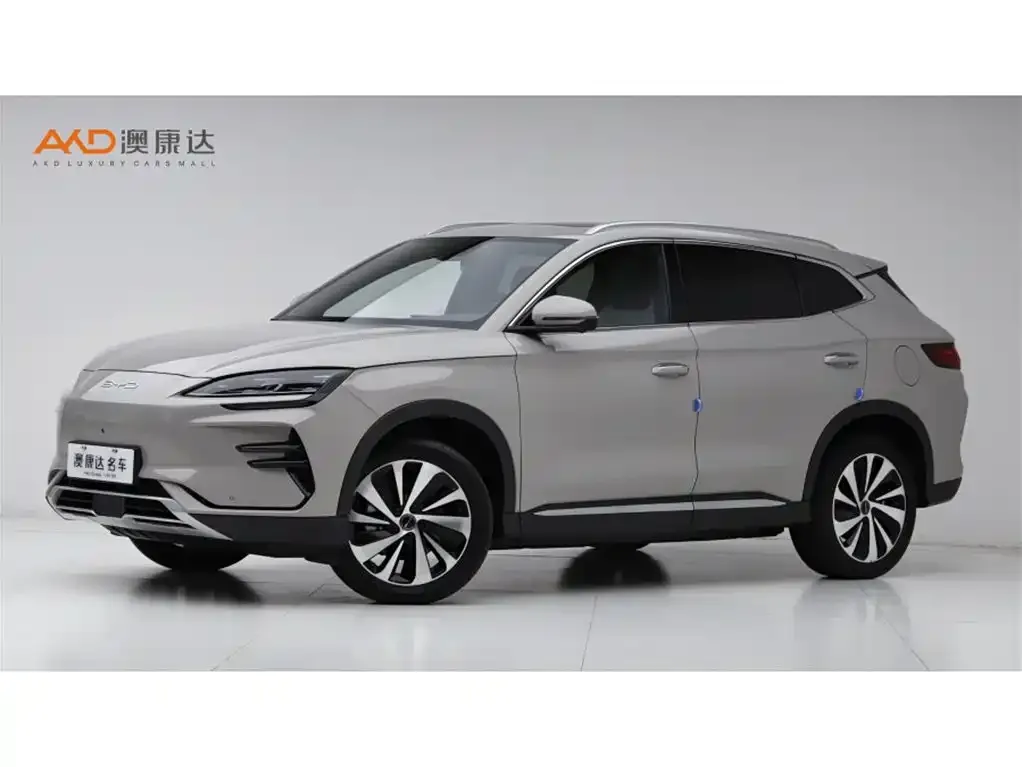BYD PLUS New Energy — фото 1