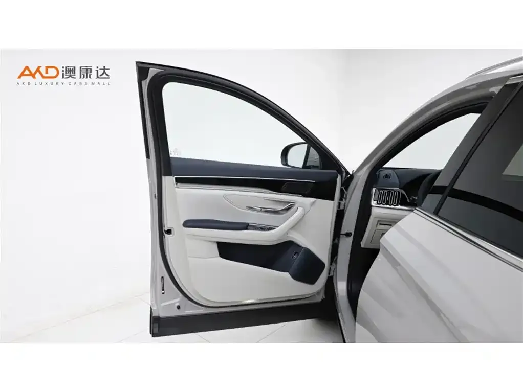 BYD PLUS New Energy — фото 10