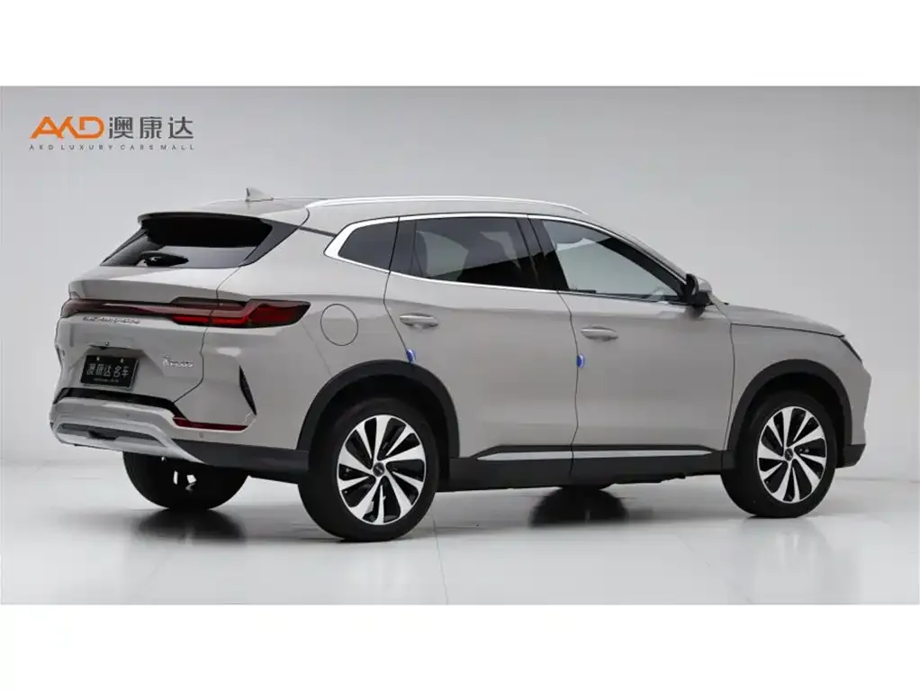 BYD PLUS New Energy — фото 6