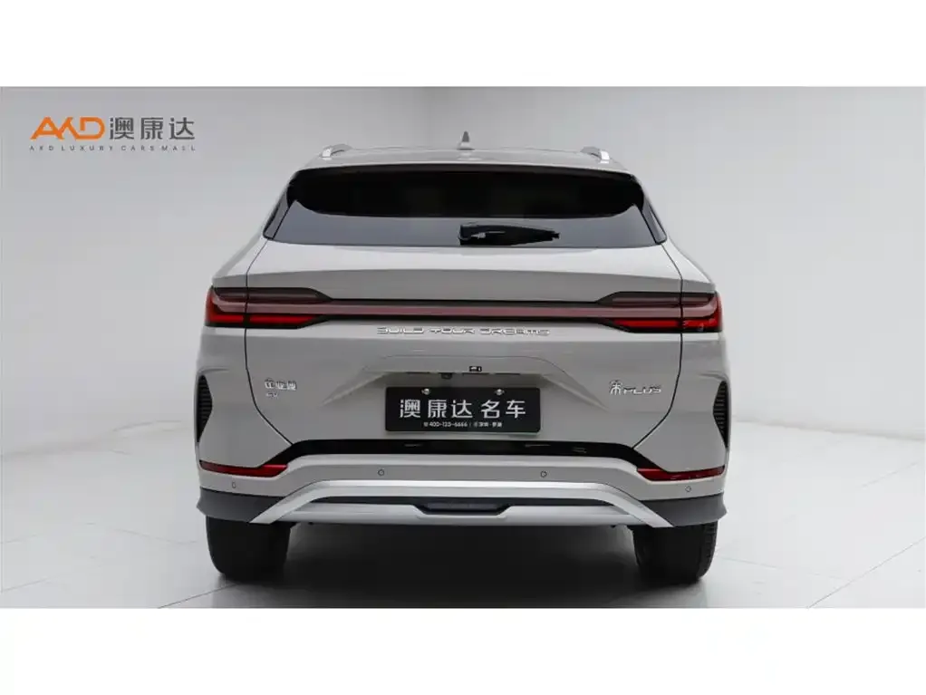 BYD PLUS New Energy — фото 4