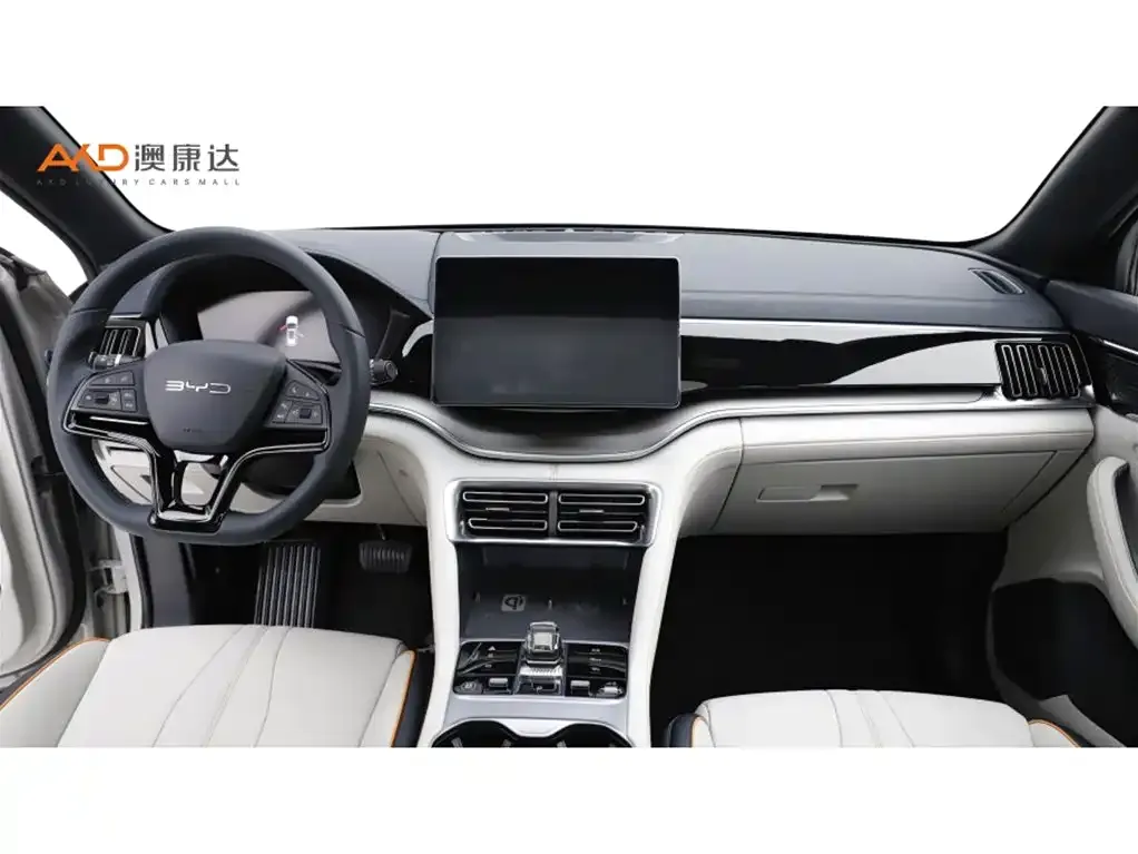 BYD PLUS New Energy — фото 3