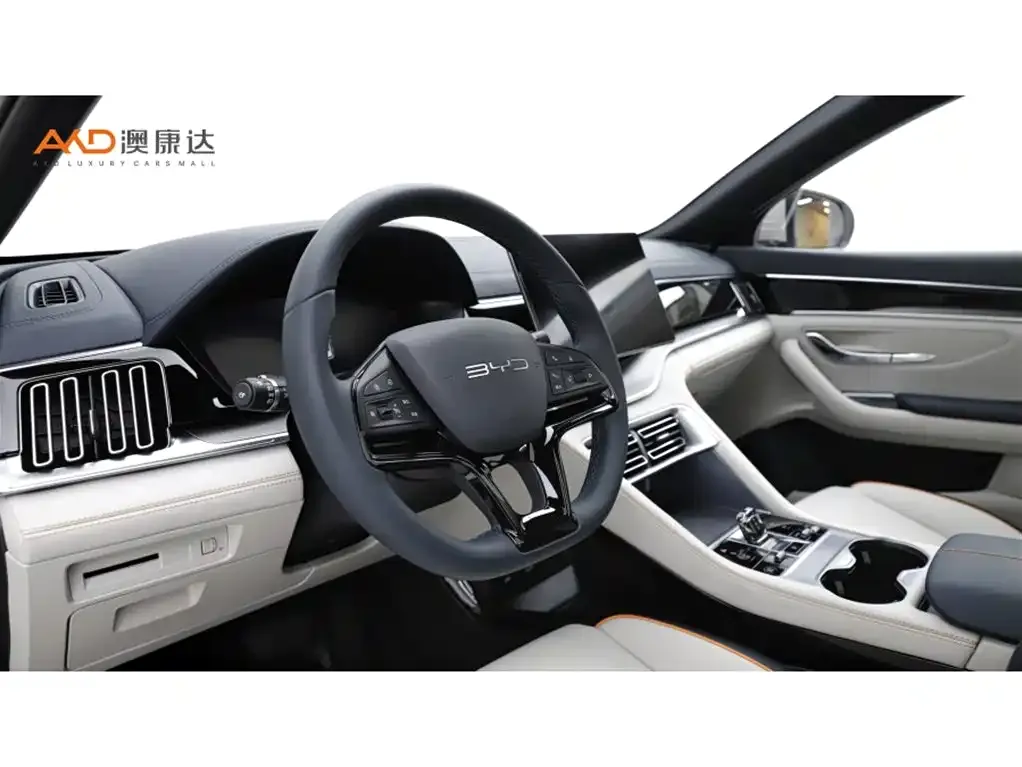 BYD PLUS New Energy — фото 9