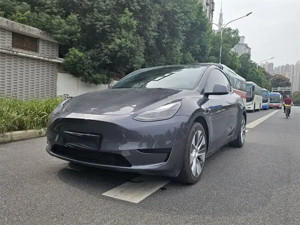 Tesla Model Y 2022 из CN, фото 1