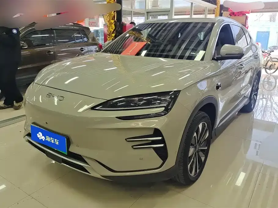 BYD PLUS New Energy — фото 1