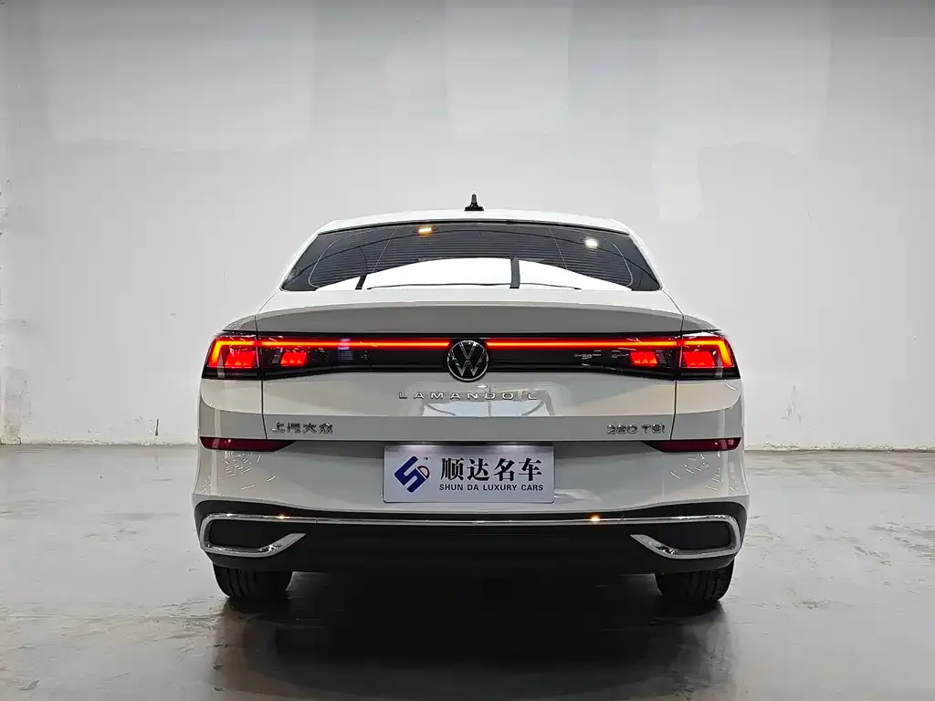 Volkswagen Lamando 2024 из CN, фото 2
