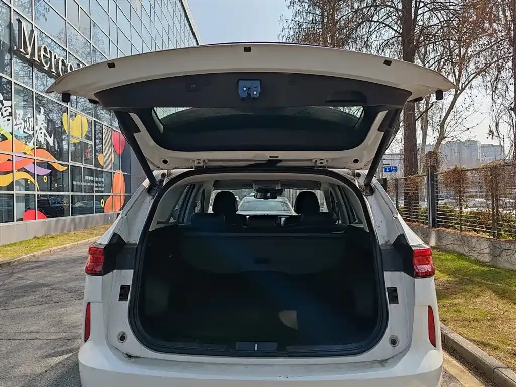 Haval H6 2021 из CN, фото 2