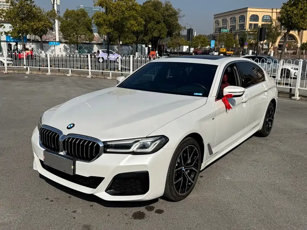 BMW 5 Series 2021 из CN, фото 1