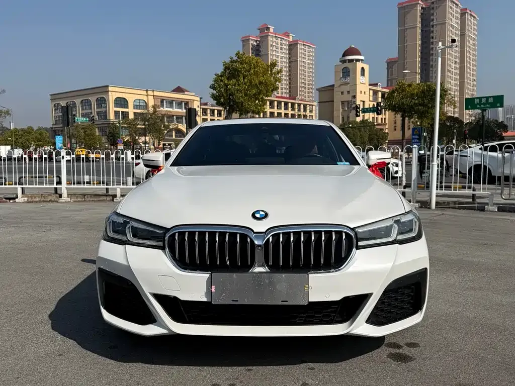BMW 5 Series 2021 из CN, фото 2