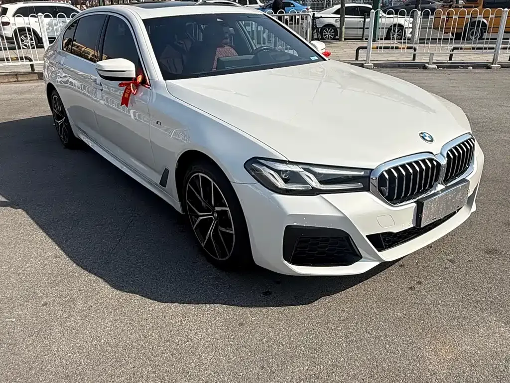 BMW 5 Series 2021 из CN, фото 9