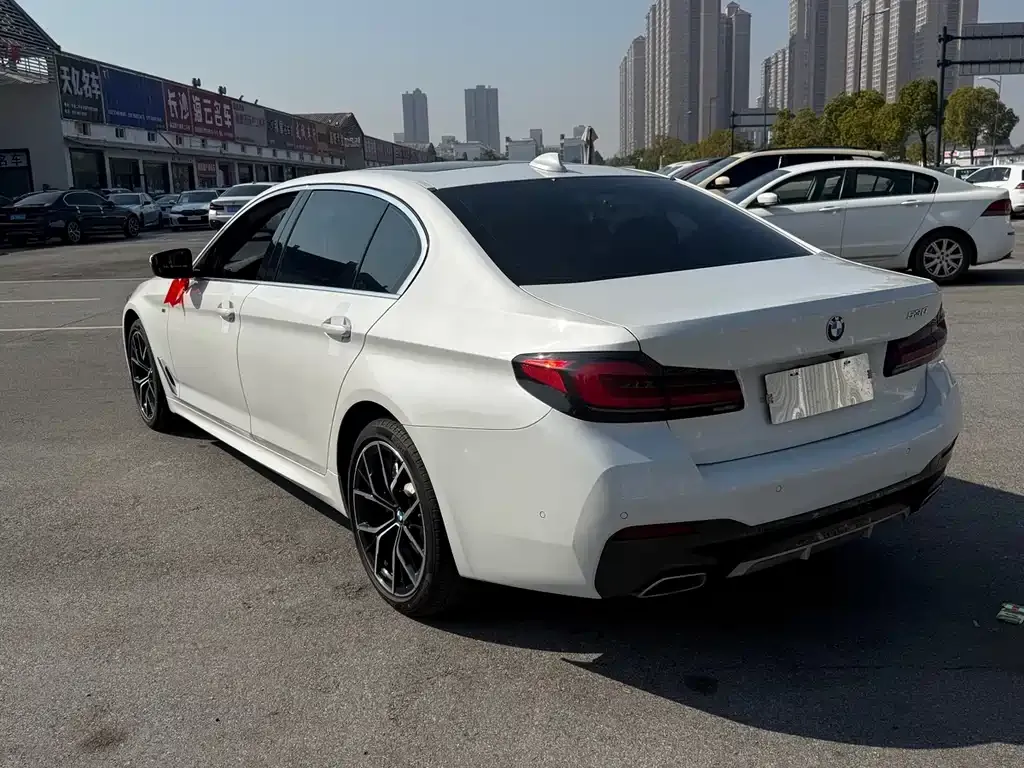 BMW 5 Series 2021 из CN, фото 4