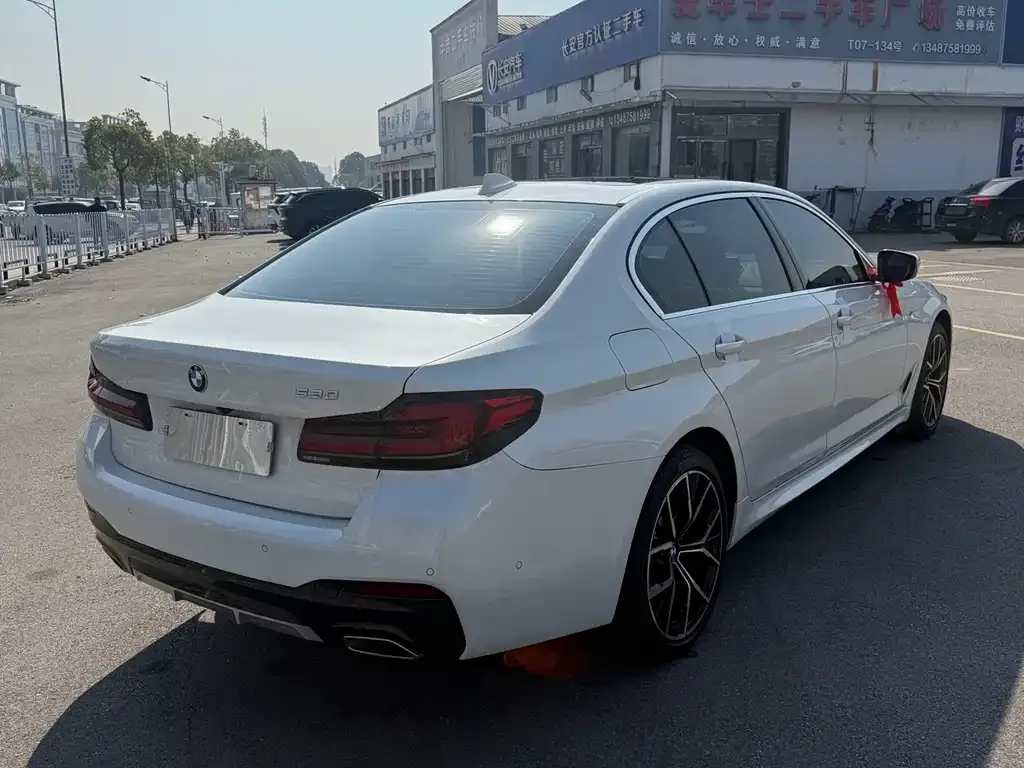 BMW 5 Series 2021 из CN, фото 6