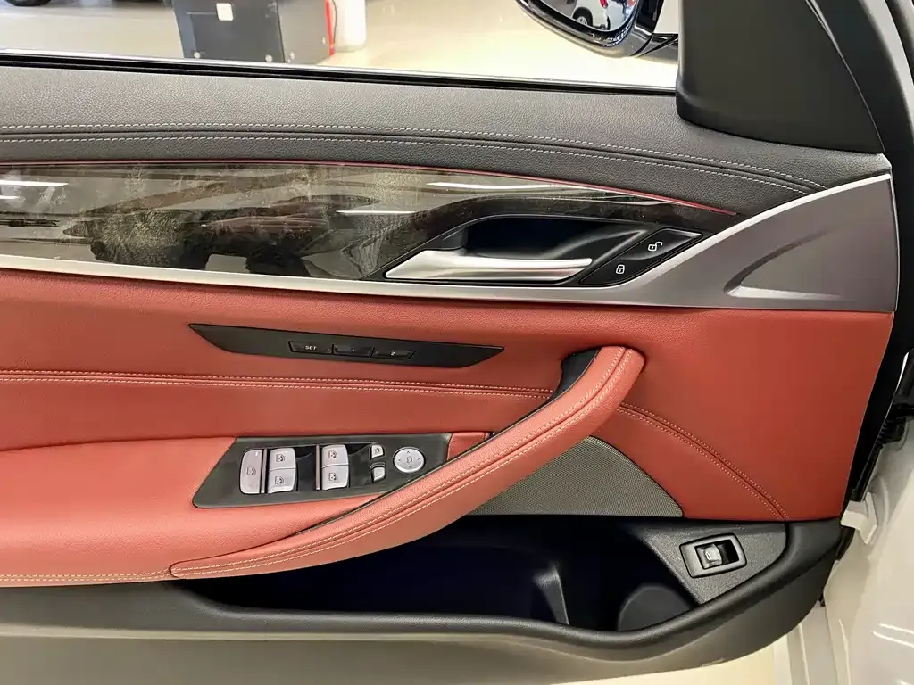 BMW 5 Series 2023 из CN, фото 6
