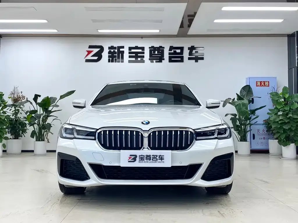 BMW 5 Series 2023 из CN, фото 3