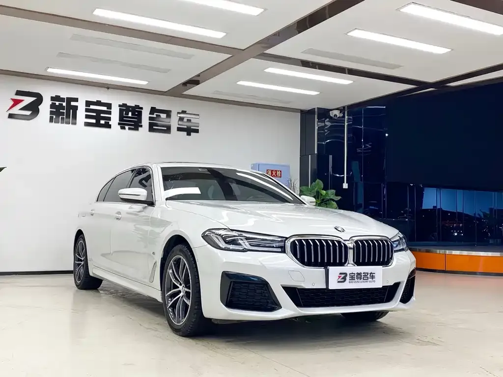 BMW 5 Series 2023 из CN, фото 2