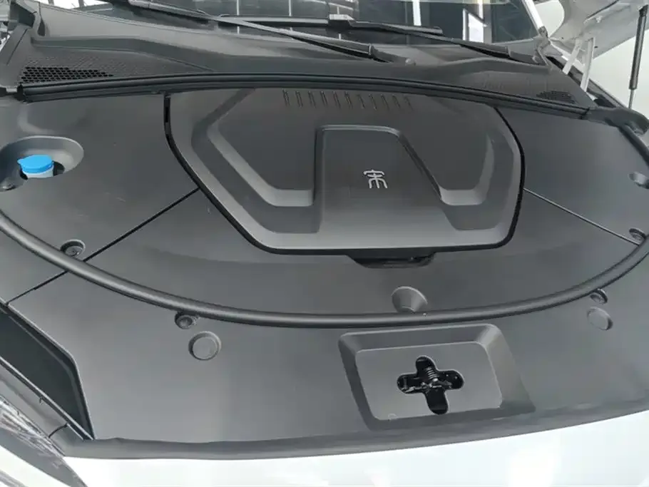 BYD PLUS New Energy 2024 из CN, фото 2