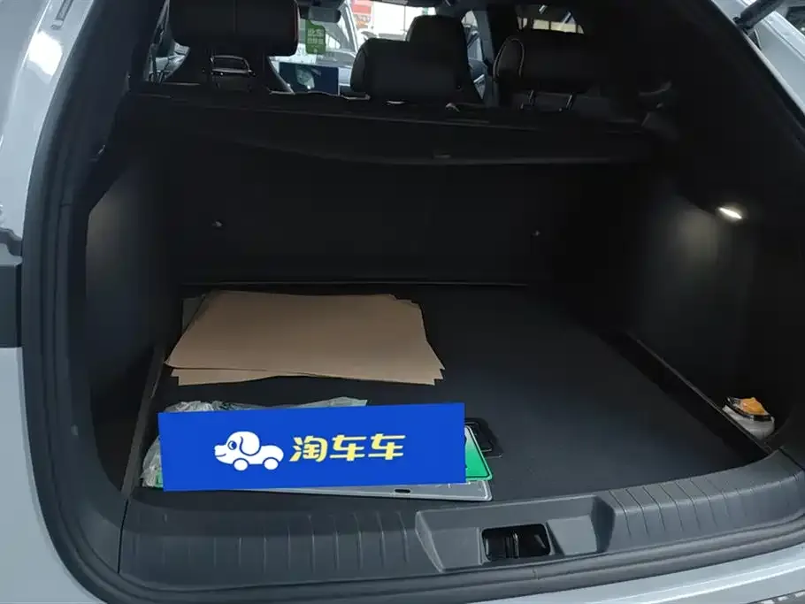 BYD PLUS New Energy 2024 из CN, фото 9
