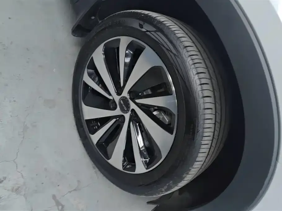 BYD PLUS New Energy 2024 из CN, фото 4
