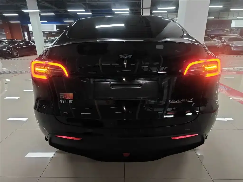 Tesla Model Y 2022 из CN, фото 4