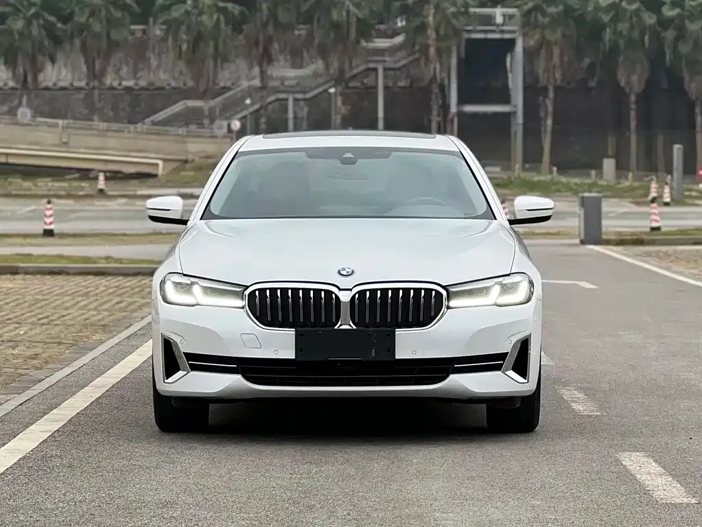 BMW 5 Series 2023 из CN, фото 7