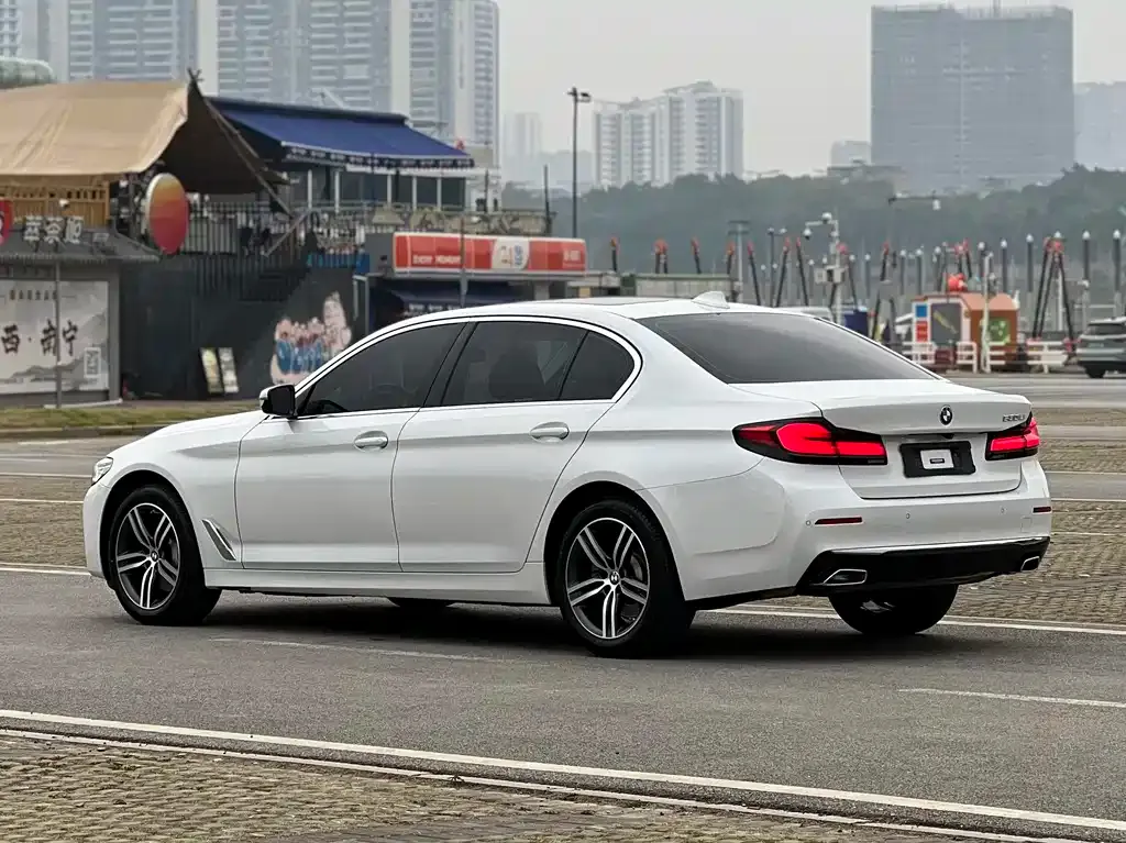 BMW 5 Series 2023 из CN, фото 5