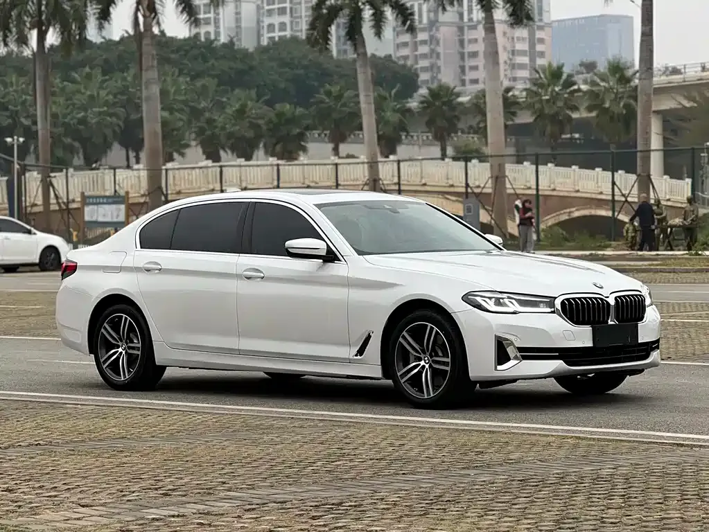 BMW 5 Series 2023 из CN, фото 10