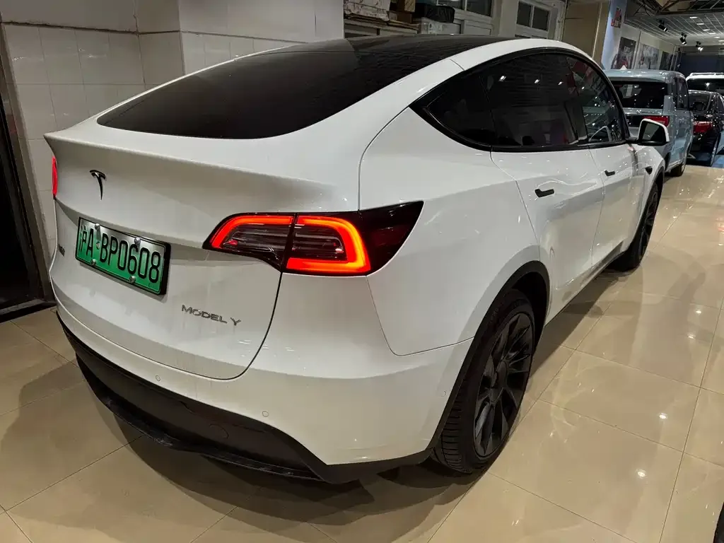Tesla Model Y 2023 из CN, фото 4