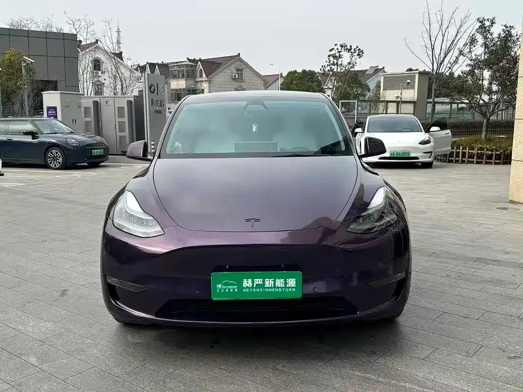 Tesla Model Y 2023 из CN, фото 6