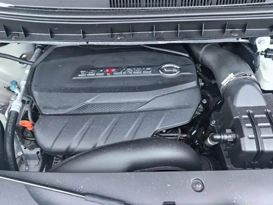GAC Motor Trumpchi M8 2021 из CN, фото 10