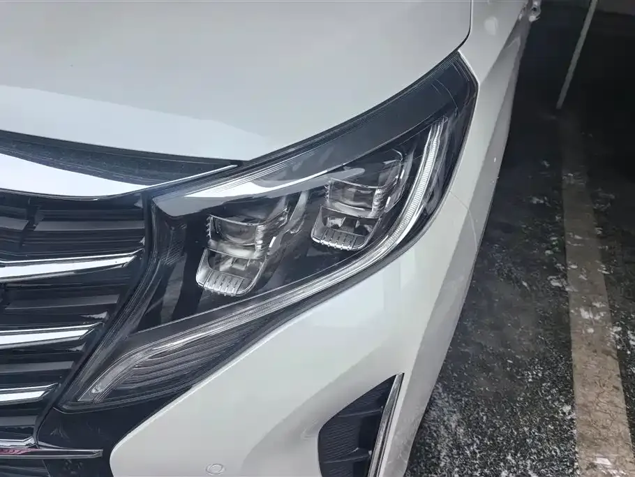 GAC Motor Trumpchi M8 2021 из CN, фото 9