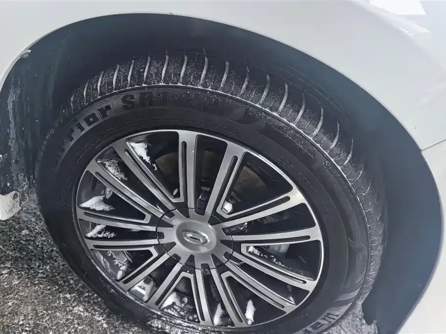 GAC Motor Trumpchi M8 2021 из CN, фото 6