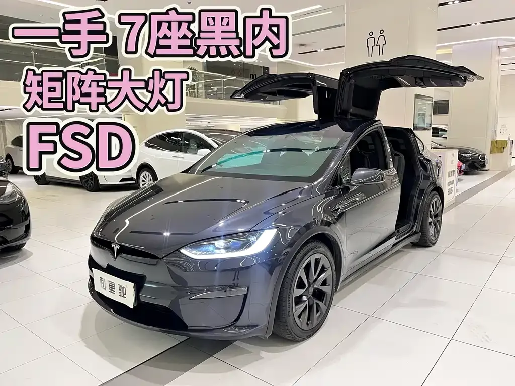 Tesla Model X 2024 из CN, фото 1