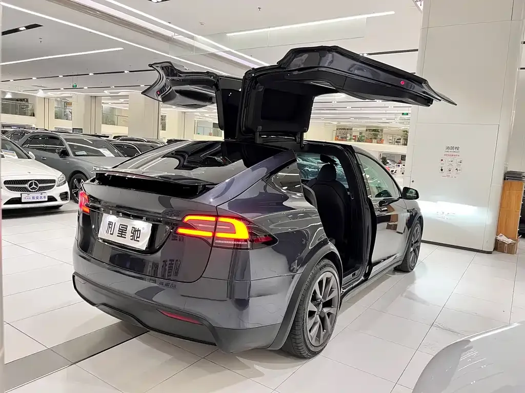 Tesla Model X 2024 из CN, фото 10