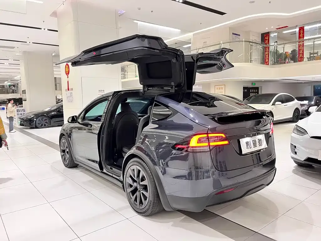 Tesla Model X 2024 из CN, фото 7