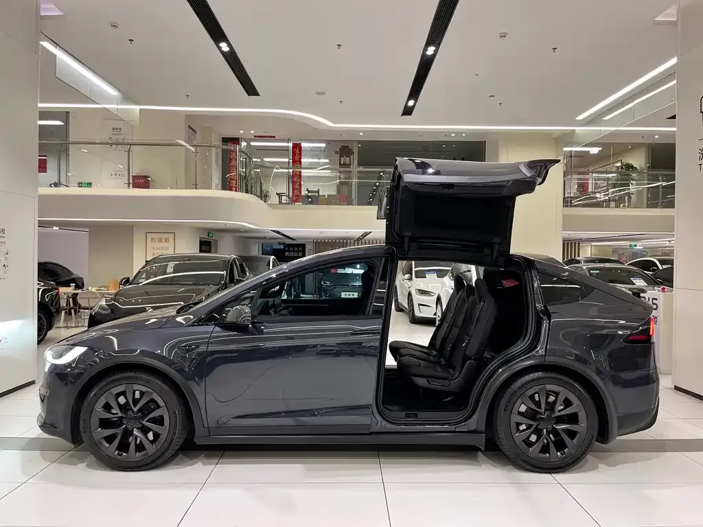Tesla Model X 2024 из CN, фото 2