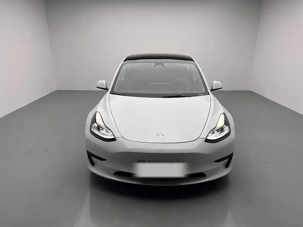 Tesla Model 3 2022 из CN, фото 2
