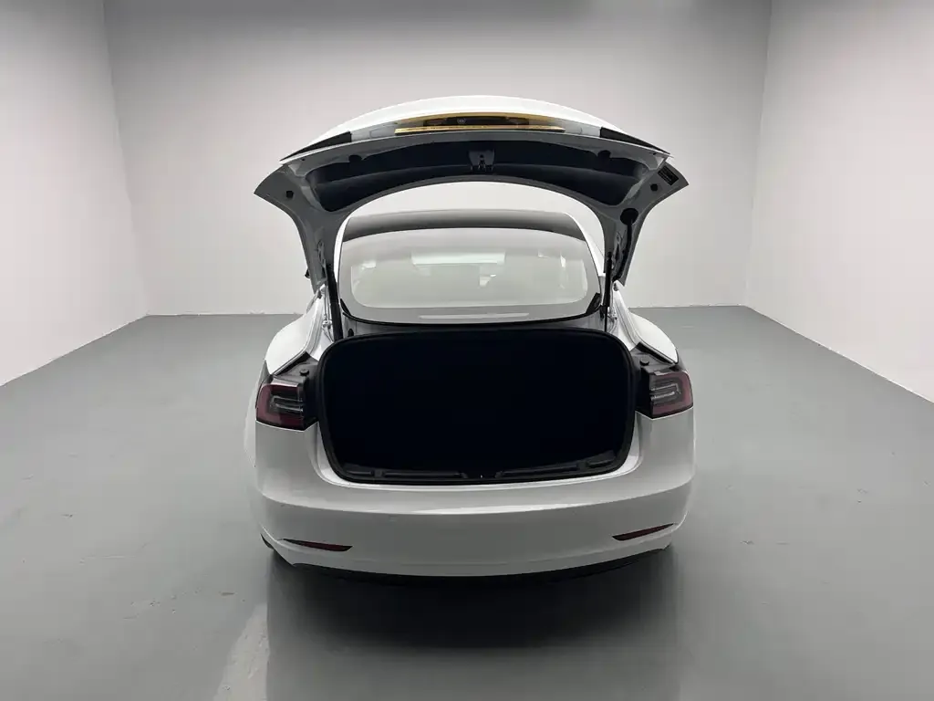 Tesla Model 3 2022 из CN, фото 7