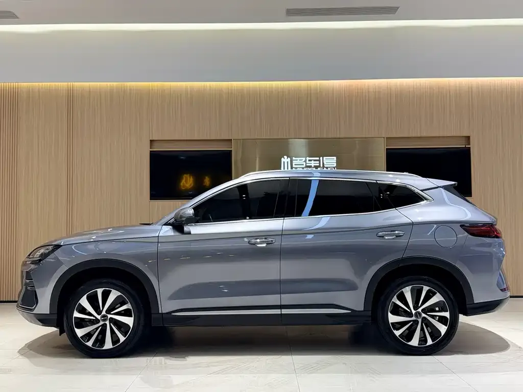 BYD PLUS New Energy 2024 из CN, фото 3
