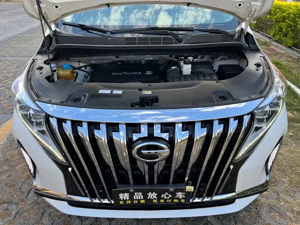 GAC Motor Trumpchi M8 2022 из CN, фото 9
