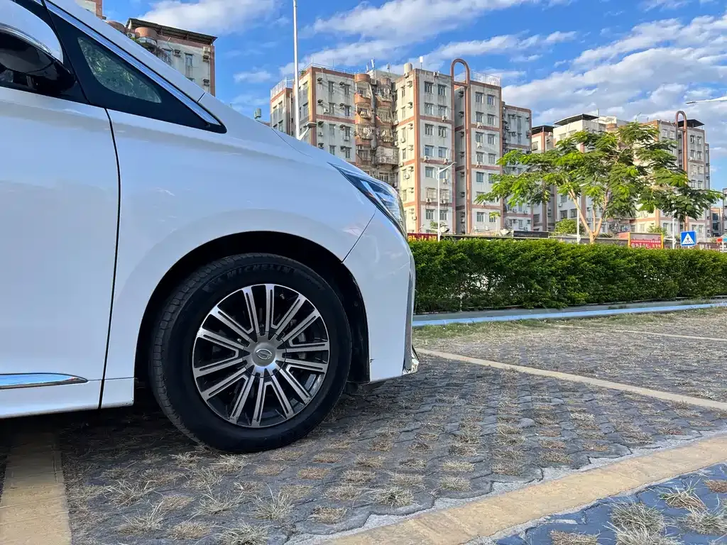 GAC Motor Trumpchi M8 2022 из CN, фото 7