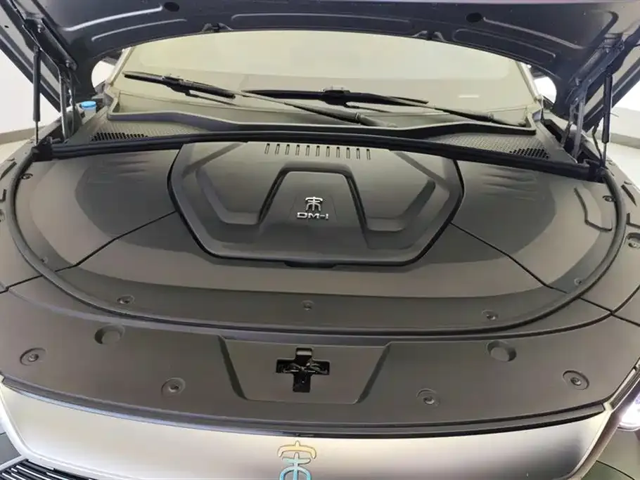 BYD PLUS New Energy 2023 из CN, фото 4