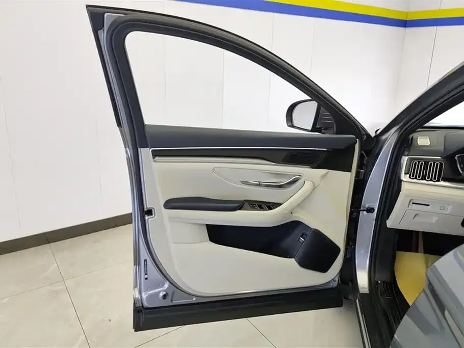 BYD PLUS New Energy 2023 из CN, фото 5